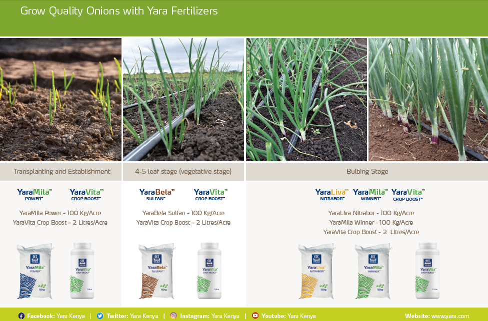 Onion fertilizer deals