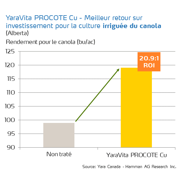 procote cu roi on canola